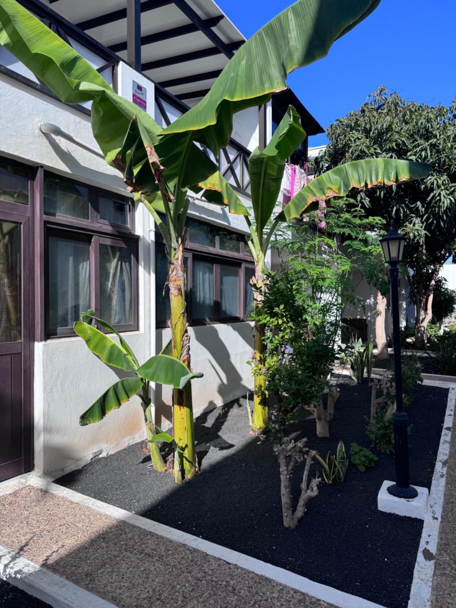 Апартаменты Casa Ana Puerto Del Carmen Тиас Экстерьер фото